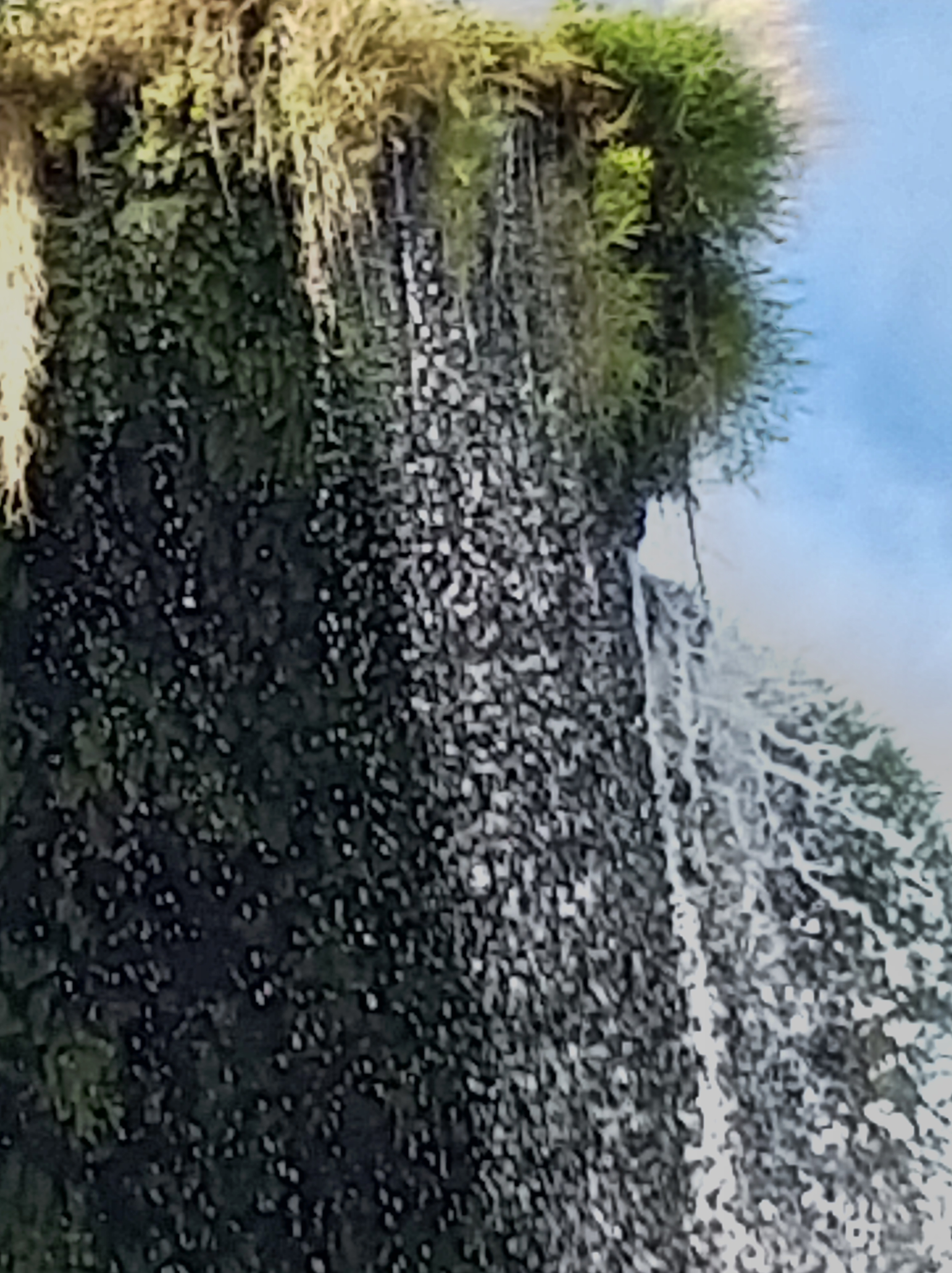 Photo n° 9 de l'avis de Thierry.o fait le 14/09/2020 à 15:27