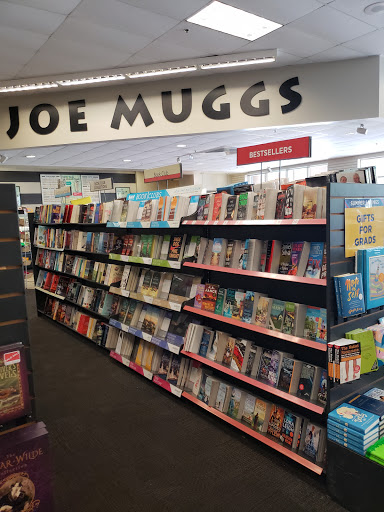 Book Store «Books-A-Million», reviews and photos, 9570 US-19, Port Richey, FL 34668, USA