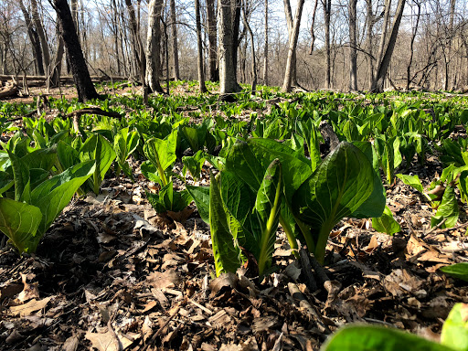 Nature Preserve «Stage Nature Center», reviews and photos, 6685 Coolidge Hwy, Troy, MI 48098, USA