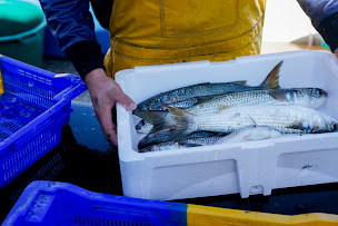 Photo n°6 de Côté Fish à Le Grau-du-Roi ()