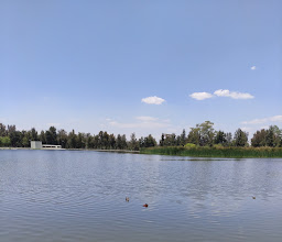 Bosque de San Juan de Aragón photo