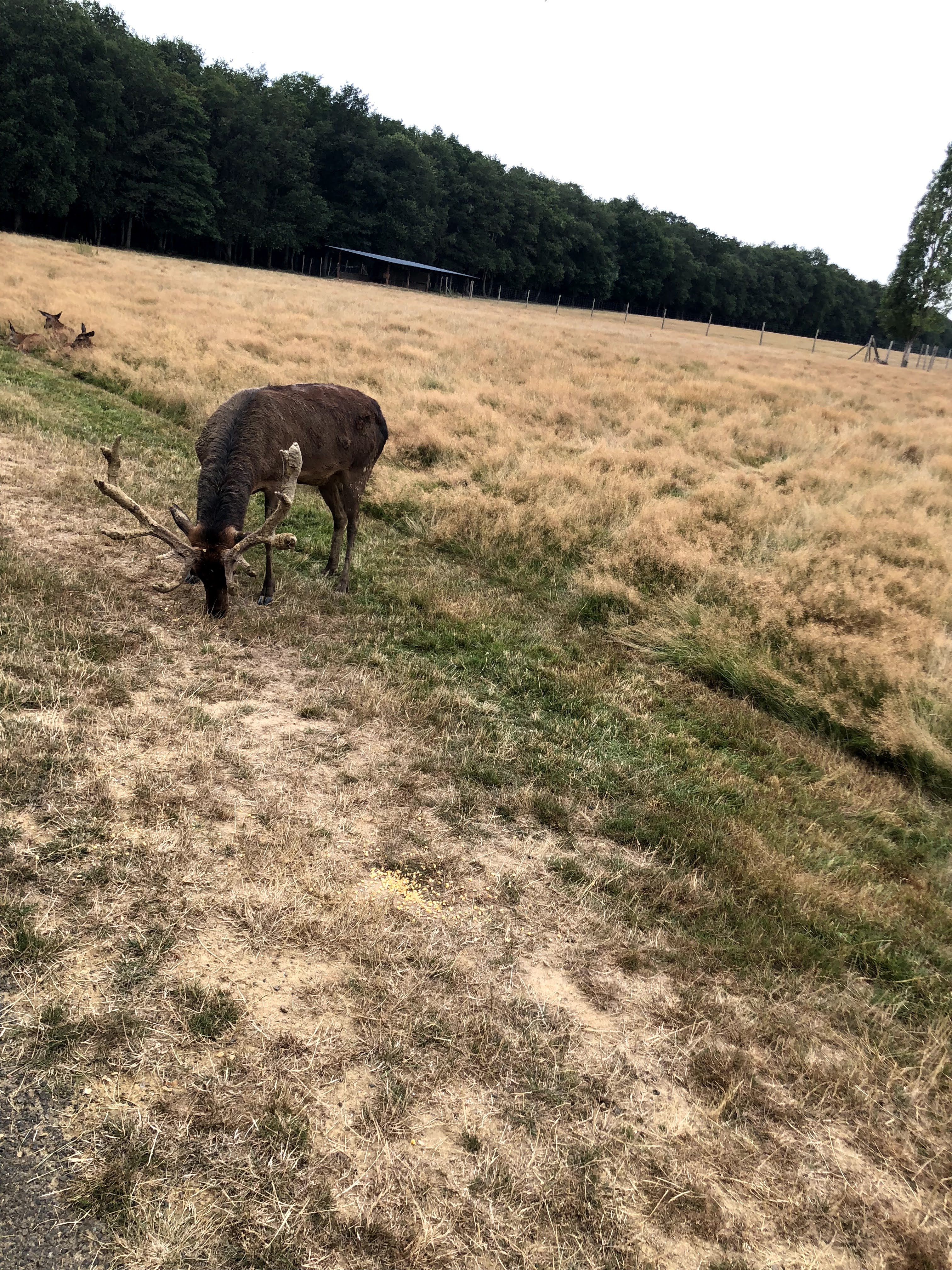 Photo n° 16 de l'avis de Julien.o fait le 27/07/2018 à 17:41