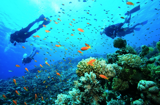 Antalya Scuba Diving Tours by GO
