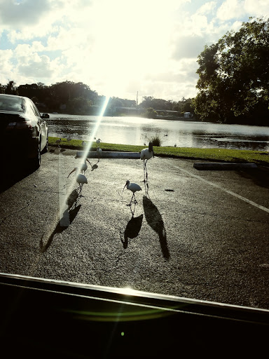 Park «Oak Lake Park», reviews and photos, 3190 N 56th Ave, Hollywood, FL 33021, USA