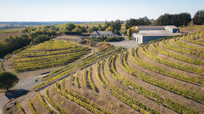 DOMAINE TREMBLAY à Val-du-Layon
