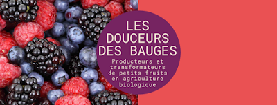 Les douceurs des bauges à Bellecombe-en-Bauges