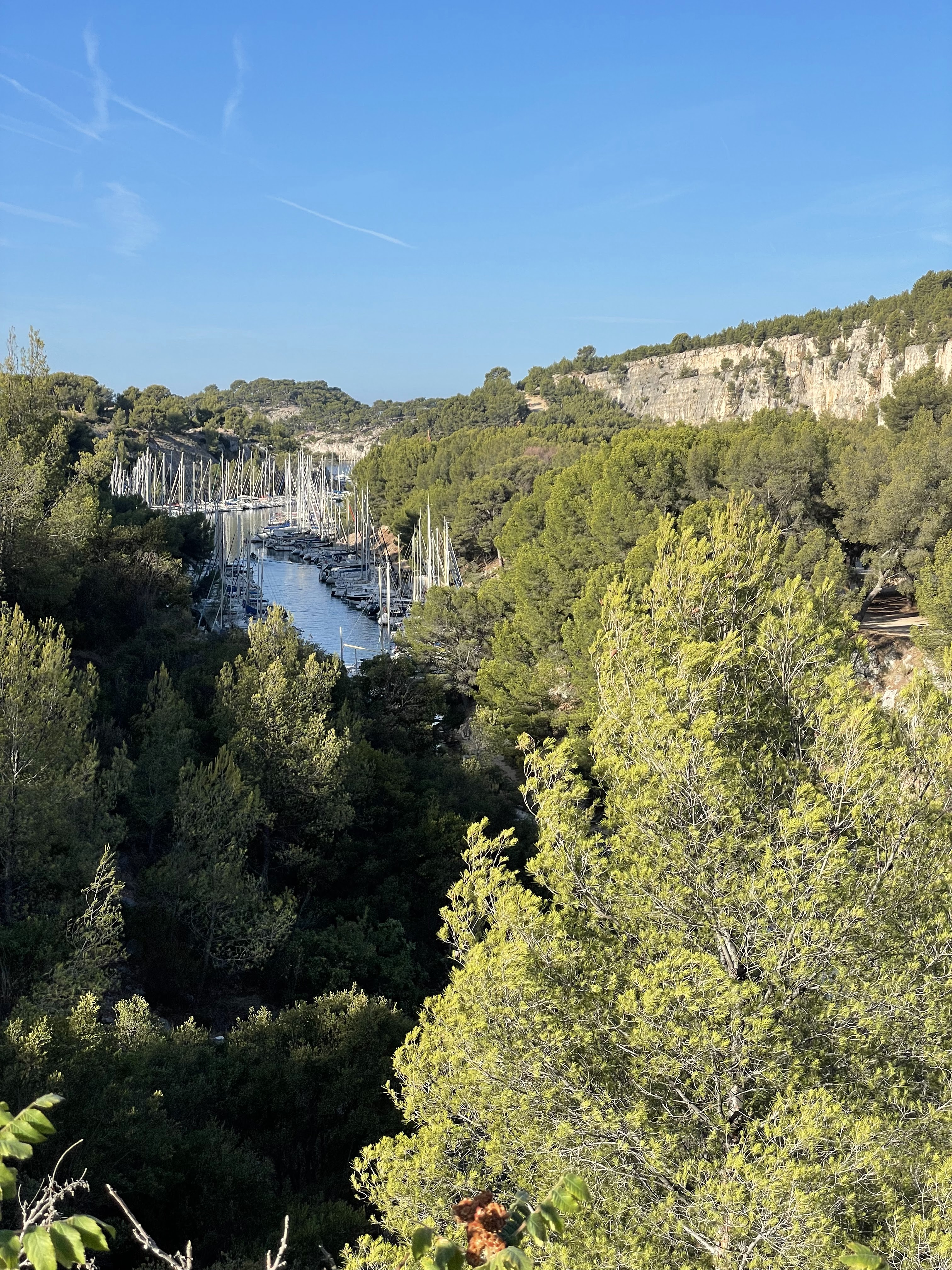 Photo n° 4 de l'avis de Amo.A fait le 11/08/2023 à 16:34