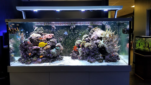 Aquarium «Aquatica», reviews and photos, 800 Clanton Rd H, Charlotte, NC 28117, USA