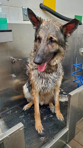 Pet Supply Store «Pet Supplies Plus», reviews and photos, 311 Sagamore Pkwy N, Lafayette, IN 47904, USA