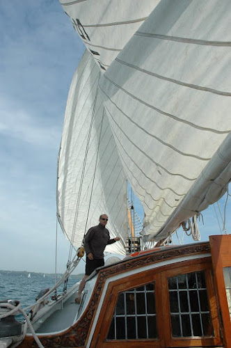 Comments and reviews of Sailing Barge Drifter