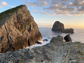 Cape Brett Walkways