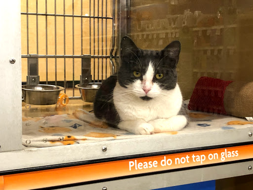 Pet Supply Store «PetSmart», reviews and photos, 156 Old Little Britain Rd, Newburgh, NY 12550, USA