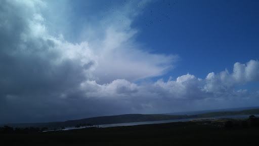 Nature Preserve «Elephant Rock», reviews and photos, 2997-3261 Dillon Beach Rd, Tomales, CA 94971, USA