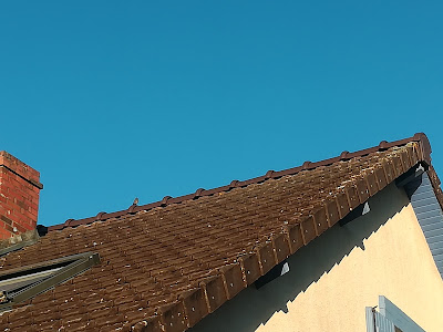 Couverture Lagrange à MOULT
