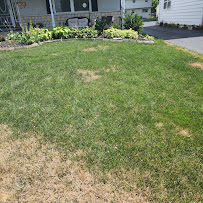 TLC; The Lawn Company - Photo 2 - Car repair in , Worcester