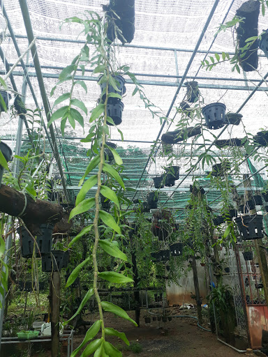 Vườn lan Hà Lục
