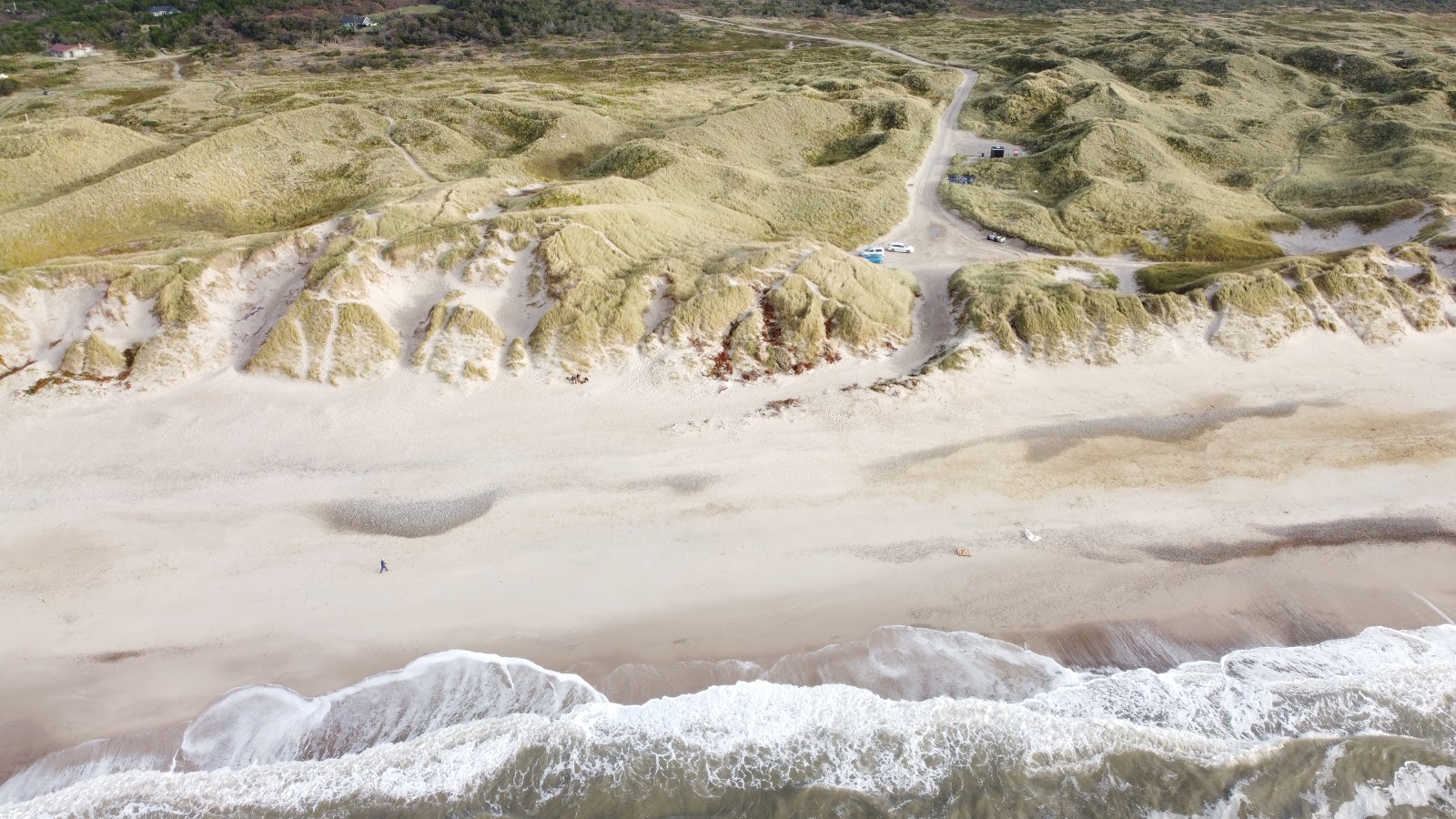 Foto van Spidsbjerg Beach met recht en lang