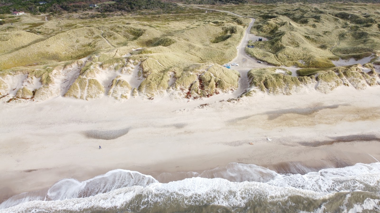 Spidsbjerg Beach的照片 具有非常干净级别的清洁度