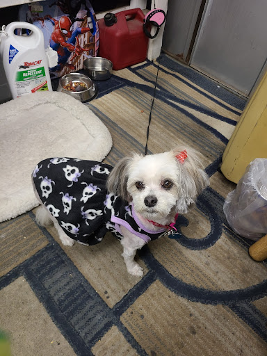 Pet Supply Store «PetSmart», reviews and photos, 2760 W 120th St, Hawthorne, CA 90250, USA