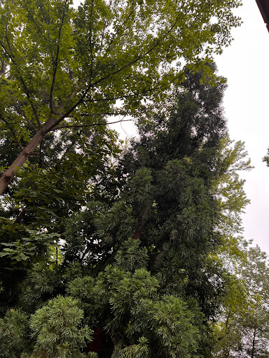 Zoo «Brandywine Zoo», reviews and photos, 1001 N Park Dr, Wilmington, DE 19802, USA