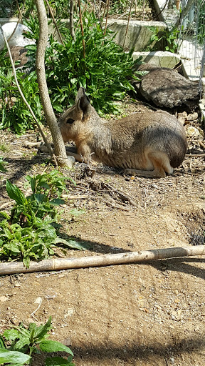 Pet Store «Ponds & Plants», reviews and photos, 1668 Rhea County Hwy, Dayton, TN 37321, USA