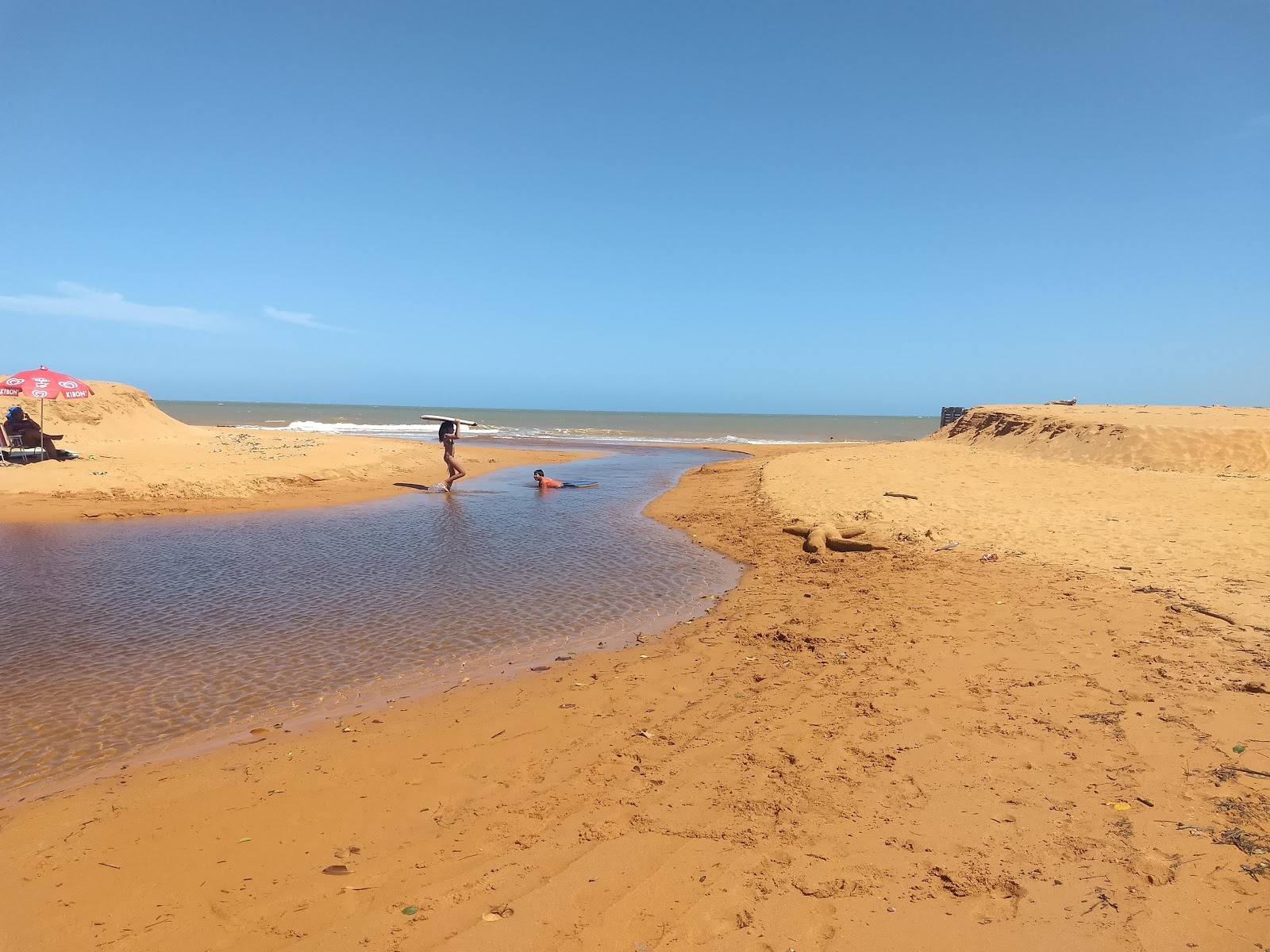 Foto af Saue Strand vildt område