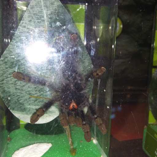 Pet Supply Store «Petco Animal Supplies», reviews and photos, 45205 Worth Ave, California, MD 20619, USA