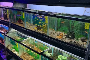 Belpre Aquarium & Pet Shop image