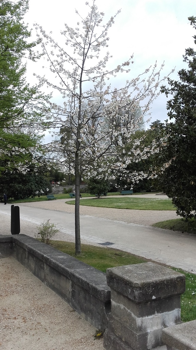 Photo n° 4 de l'avis de Jane.e fait le 10/04/2021 à 15:17