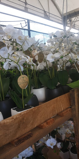 Home Improvement Store «The Home Depot», reviews and photos, 3451 NW Federal Hwy, Jensen Beach, FL 34957, USA