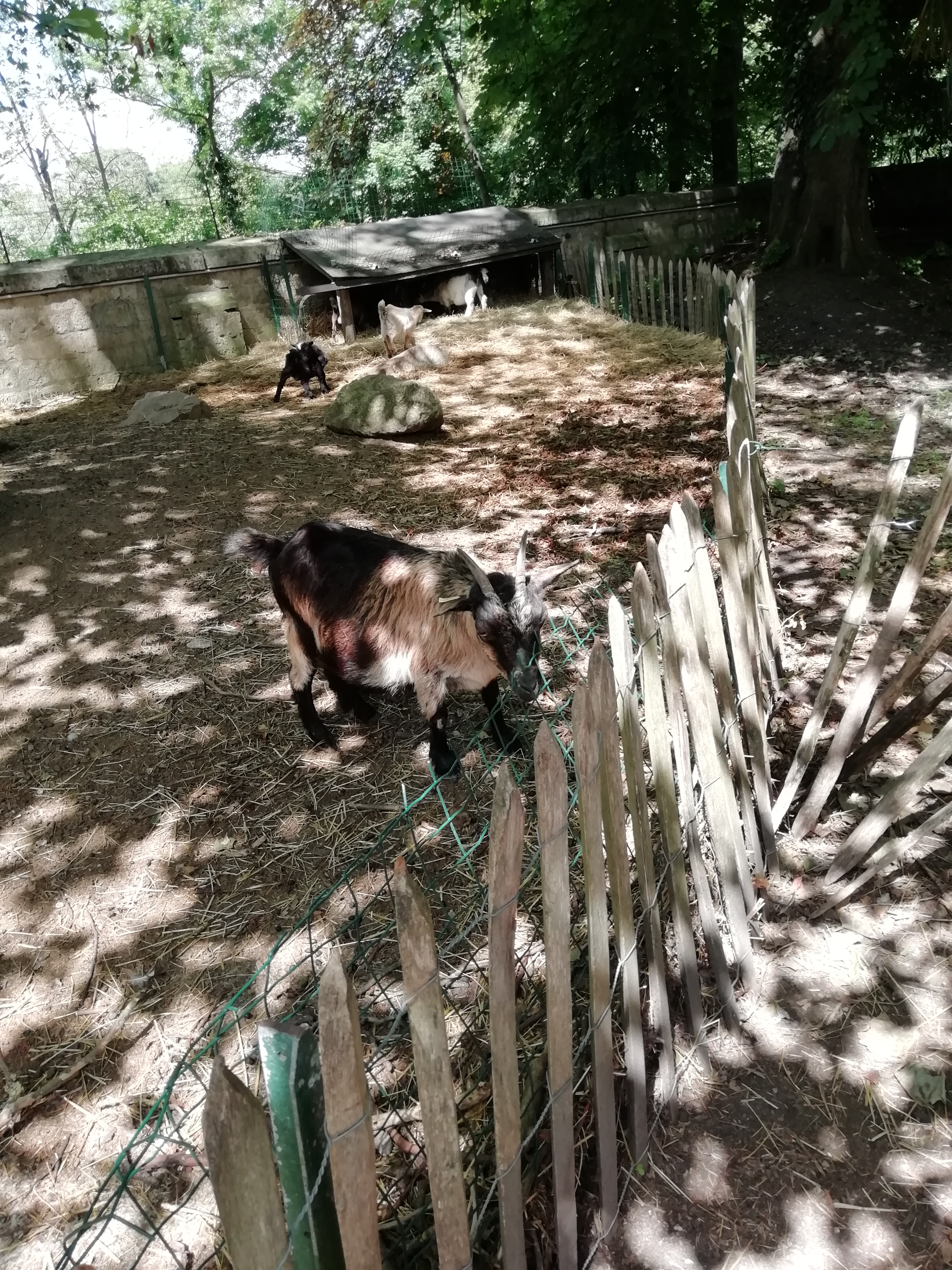 Photo n° 6 de l'avis de Marie.h fait le 17/06/2019 à 19:35