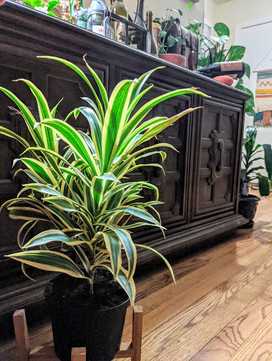 Florist «In The Garden», reviews and photos, 69 Waterwitch Ave, Highlands, NJ 07732, USA