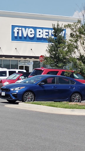 Dollar Store «Dollar Tree», reviews and photos, 171 W Lee Hwy, Warrenton, VA 20186, USA