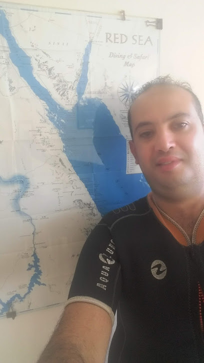 شركه الاهرام لتجاره الزجاج