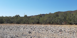 Aliki beach'in fotoğrafı imkanlar alanı