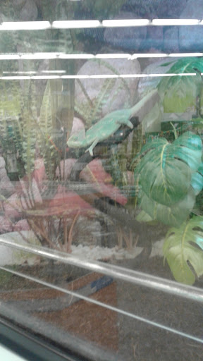 Pet Supply Store «Petco Animal Supplies», reviews and photos, 440 N Main St, East Longmeadow, MA 01028, USA