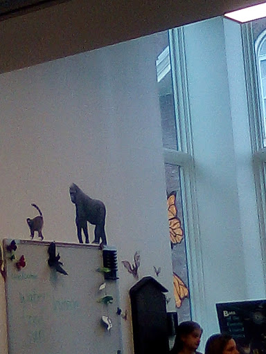 Science Academy «The Living Arts & Science Center», reviews and photos, 362 N Martin Luther King Blvd, Lexington, KY 40508, USA