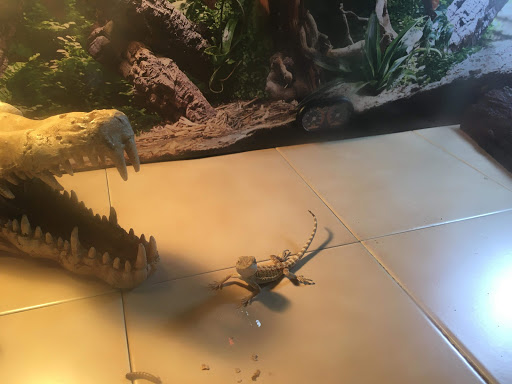 Pet Supply Store «Pet Supplies Plus», reviews and photos, 5230 S Westnedge Ave, Portage, MI 49002, USA