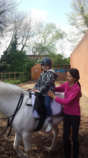 Pony riding nearby Kingston-upon-Thames