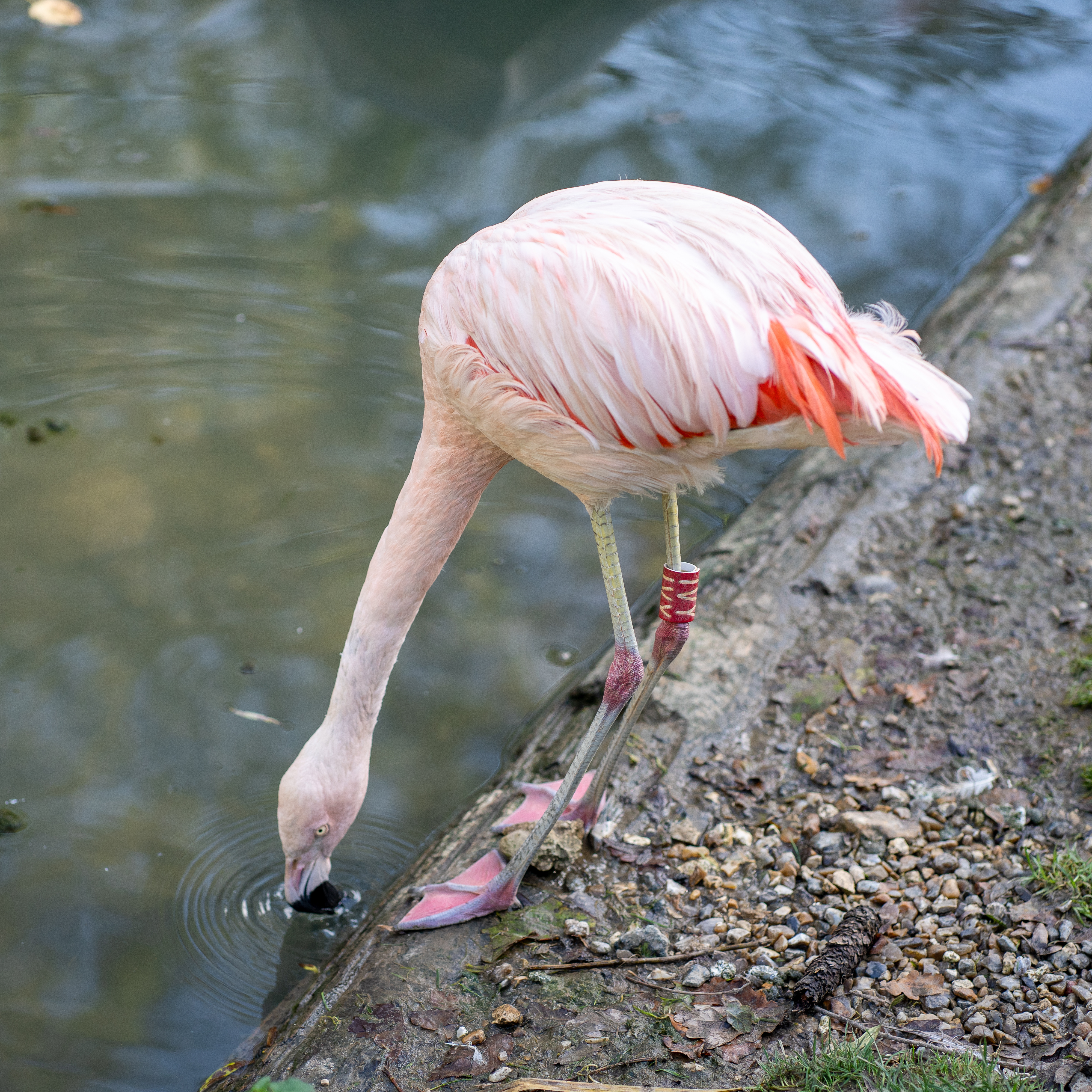 Photo n° 4 de l'avis de linstantvoyages. fait le 12/10/2021 à 20:59