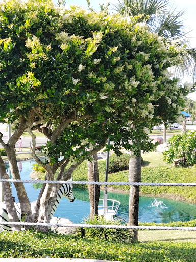 Tourist Attraction «Coconut Creek Family Fun Park», reviews and photos, 9807 Front Beach Rd, Panama City Beach, FL 32407, USA