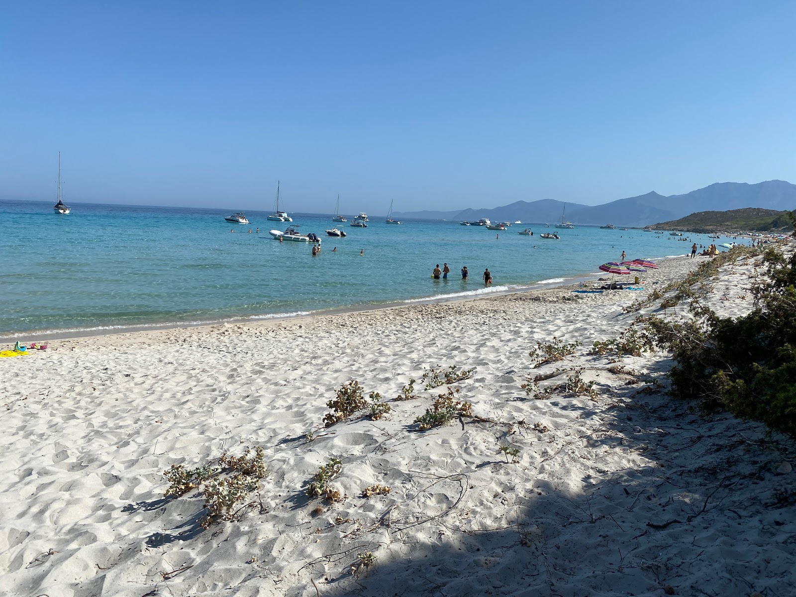 Photo de Plage de Saleccia avec un niveau de propreté de très propre