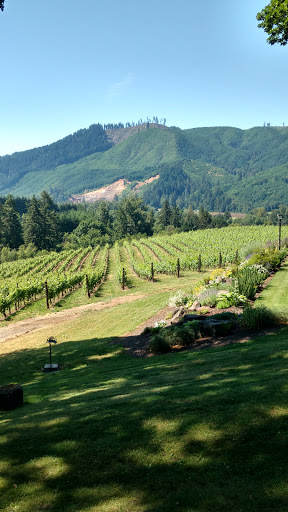 Winery «Risdall Ranch Winery», reviews and photos, 6200 NW Gales Creek Rd, Forest Grove, OR 97116, USA