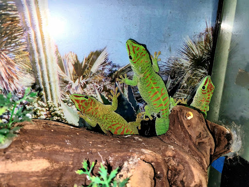 Pet Supply Store «E & M Pet Shop», reviews and photos, 5900 Whittier Blvd, Los Angeles, CA 90022, USA