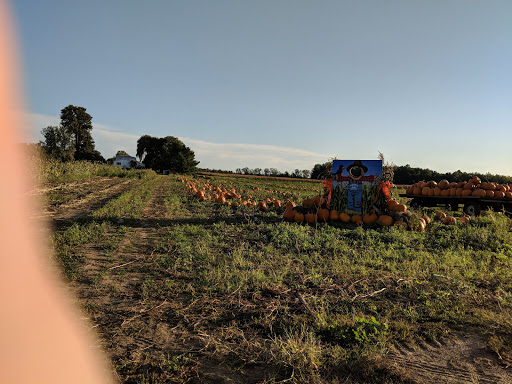 Produce Market «Rush Vegetables», reviews and photos, 2120 Eagle Harbor Waterport Rd, Albion, NY 14411, USA