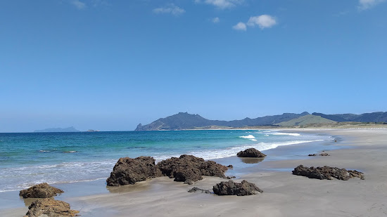 Kauri Mountain Beach