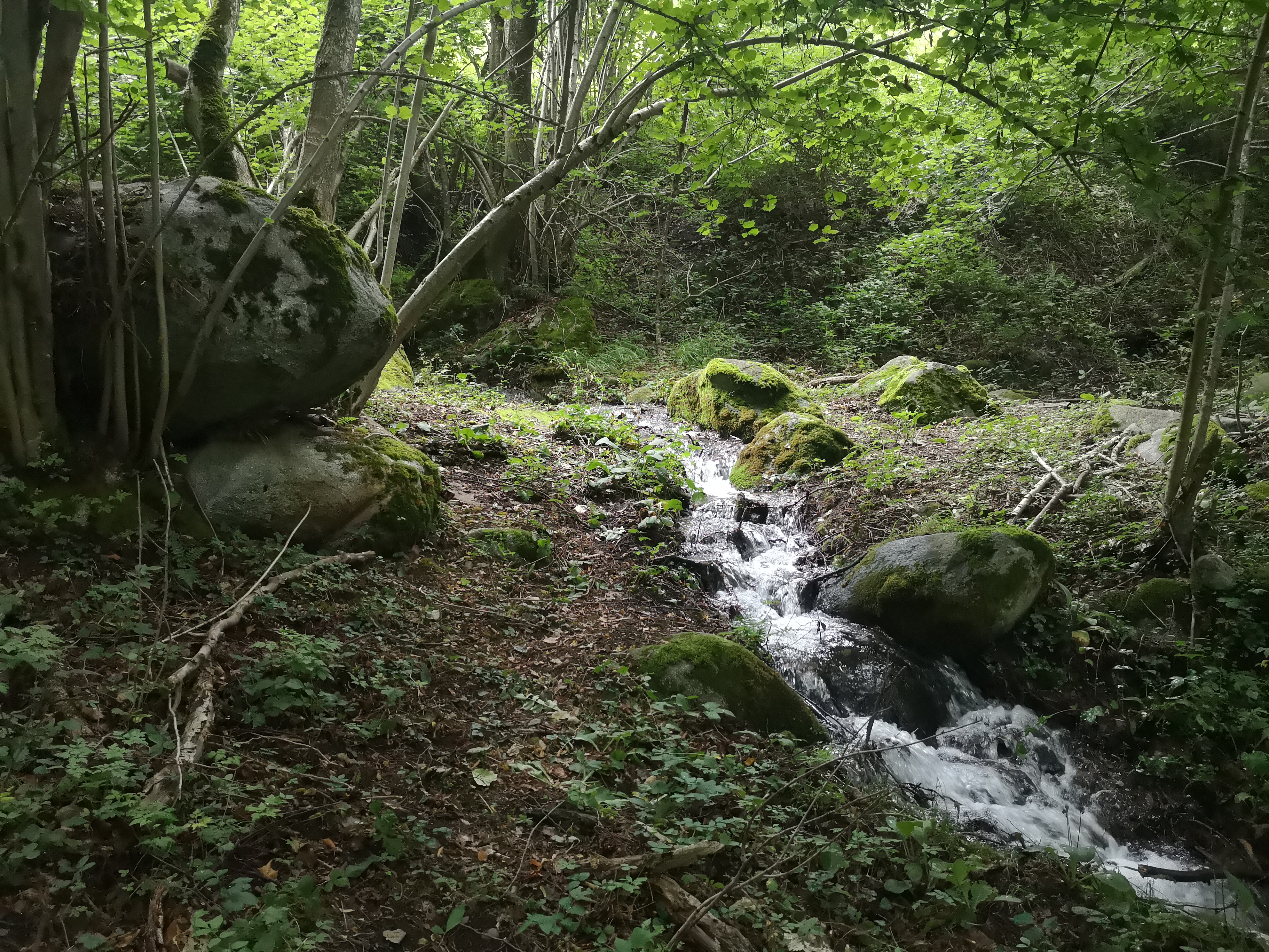 Photo n° 1 de l'avis de christelle.a fait le 20/07/2023 à 16:41