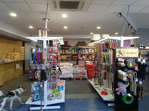 ACALAMA - Villa de Don Fadrique