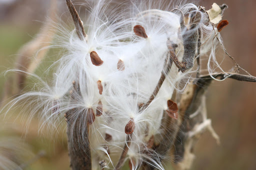 Park «Walter & Mary Burke Park», reviews and photos, 36300 Front St, New Baltimore, MI 48047, USA