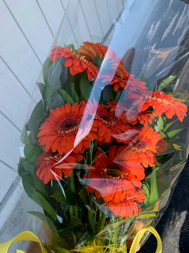 Florist «McCandless Floral», reviews and photos, 8105 Perry Hwy, Pittsburgh, PA 15237, USA